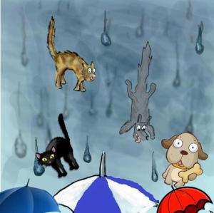 Raining Cats and Dogs